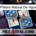 Píldora Natural De Vigra viagra5